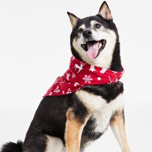 Family Pajamas Merry Cotton Printed Pet Bandana Red L/XL